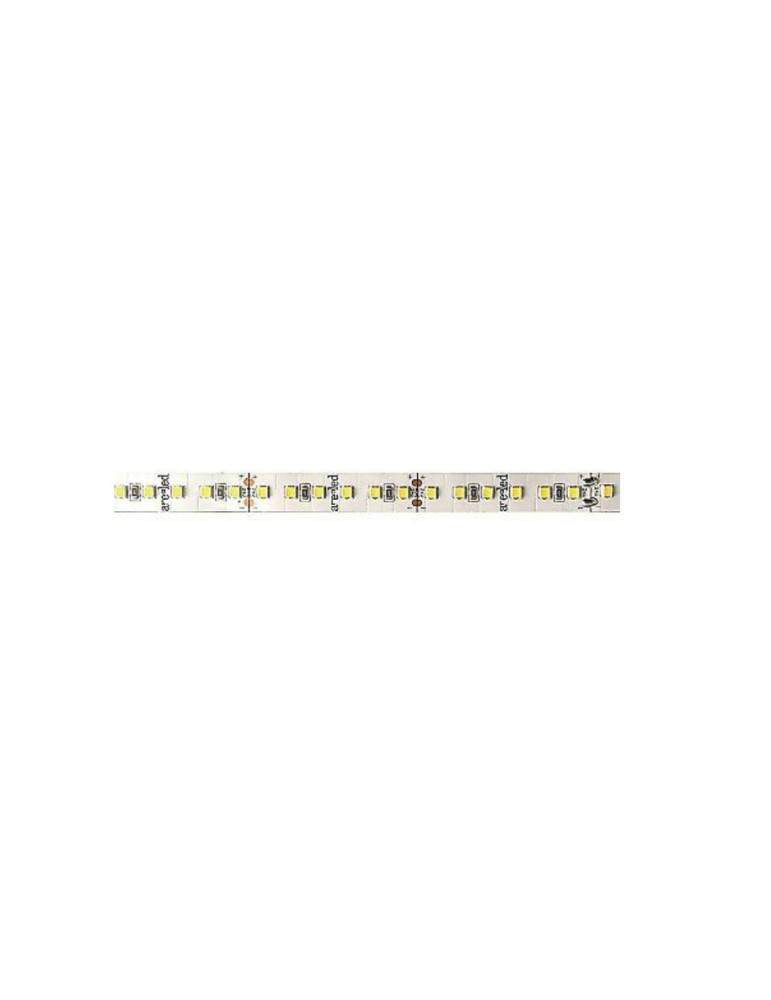 Strip LED TecnoSwitch FN028BN – 24V, 12W/m (65W tot), IP20, 4000K (Bianco Freddo)