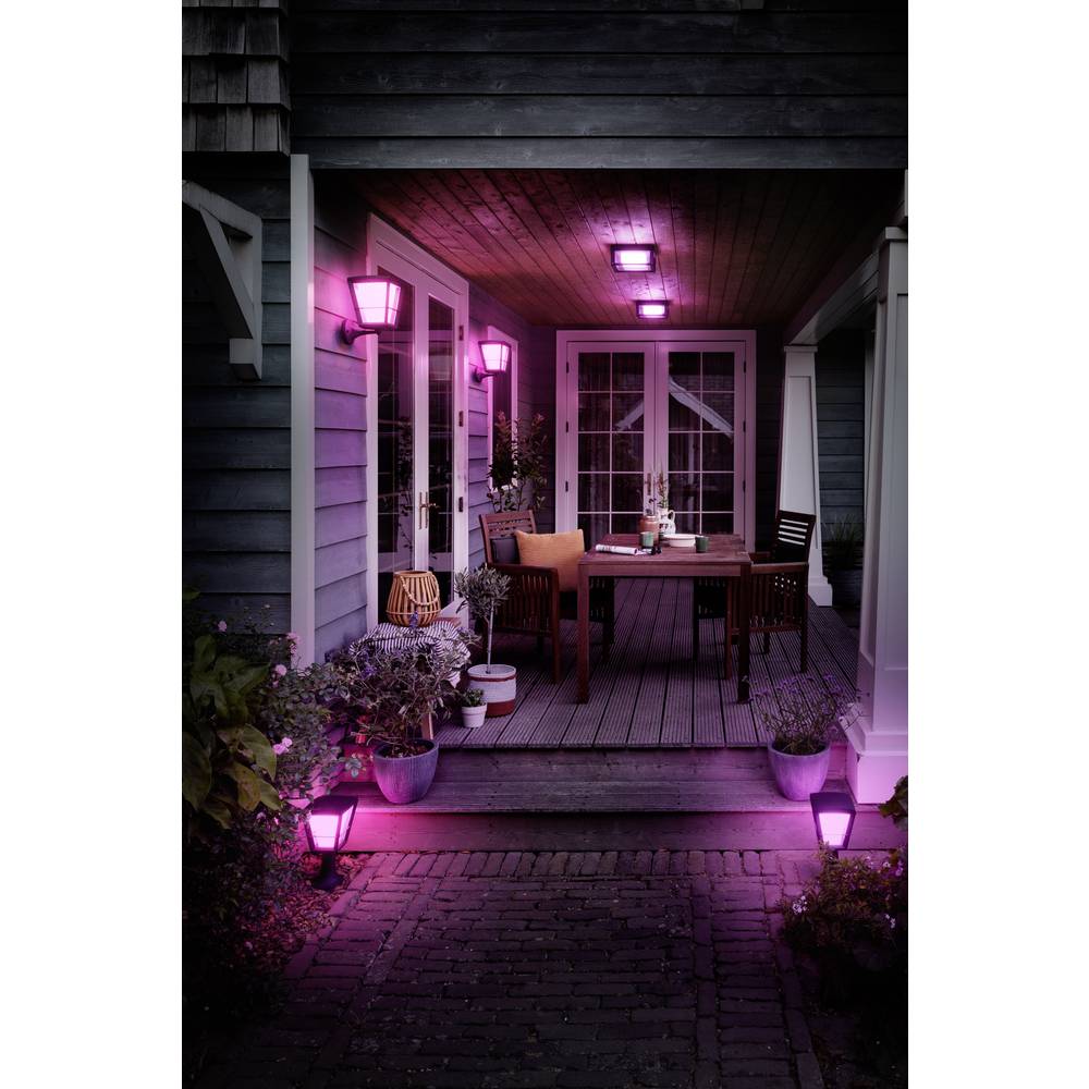 Philips Lighting Hue Applique murale d'extérieur LED 1743830P7 Econic LED montage fixe 15 W RGBW