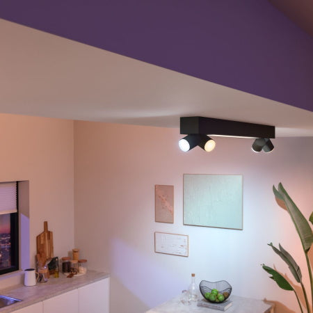 Philips Hue Barra Luminosa con Faretti di Philips Hue - Centris 4 Luci Plafone Nero 40W 5060730P7