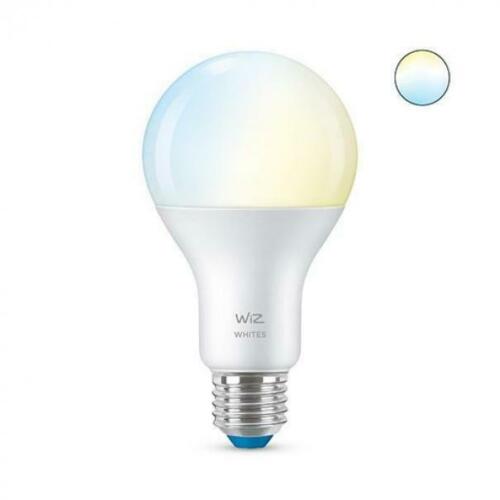 Philips Consumer Lampadina Led Wiz E27 13W 1521Lm 9290024496 78617500