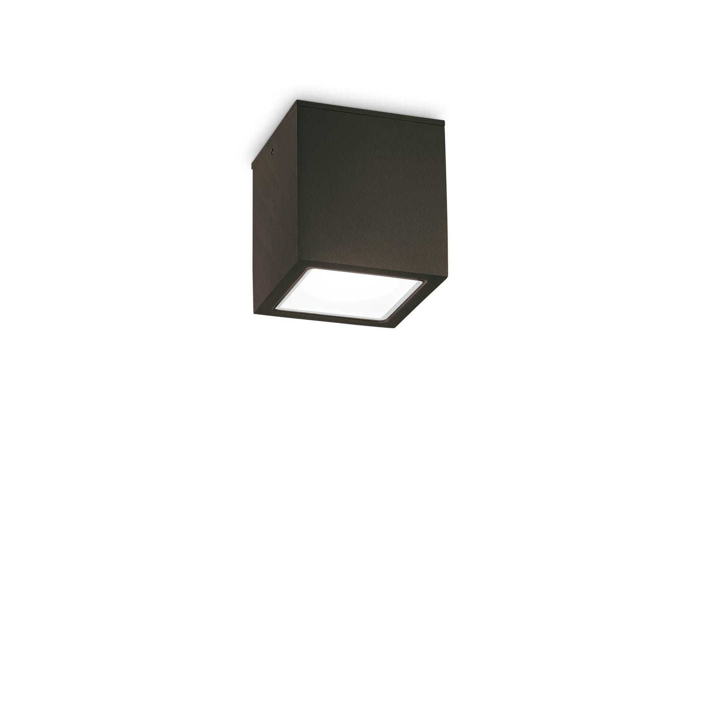 Plafoniera nera da esterno Ideal Lux 251578 TECHO SMALL GU10 LED IP54 lampada soffitto moderna